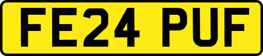FE24PUF