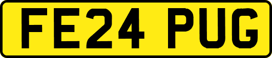 FE24PUG