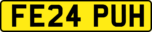FE24PUH