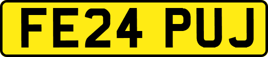 FE24PUJ