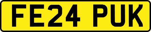 FE24PUK