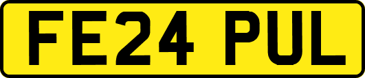 FE24PUL