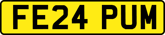 FE24PUM
