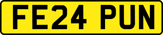 FE24PUN