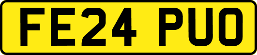 FE24PUO