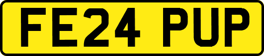 FE24PUP