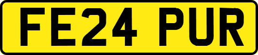 FE24PUR