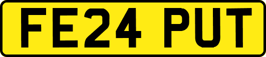 FE24PUT
