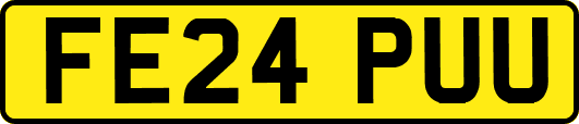 FE24PUU