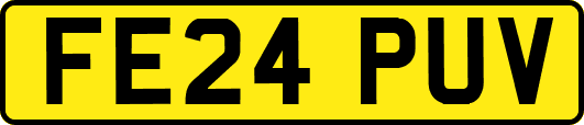 FE24PUV