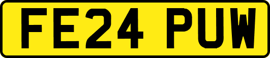 FE24PUW