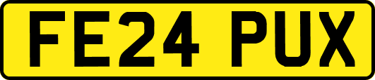FE24PUX