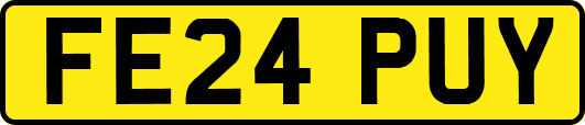 FE24PUY