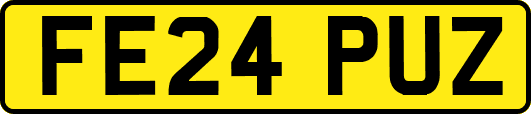 FE24PUZ