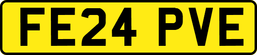FE24PVE