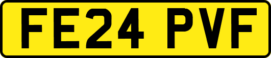 FE24PVF
