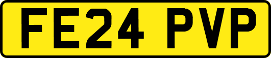 FE24PVP