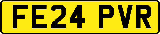 FE24PVR