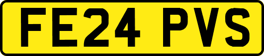 FE24PVS