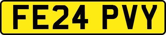 FE24PVY