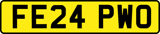 FE24PWO