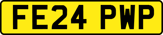 FE24PWP