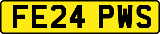 FE24PWS