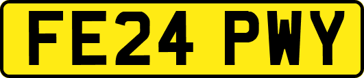 FE24PWY