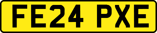 FE24PXE