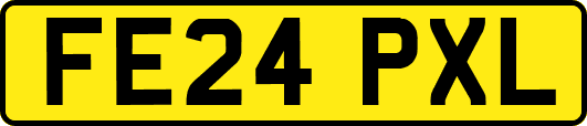 FE24PXL