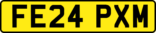 FE24PXM