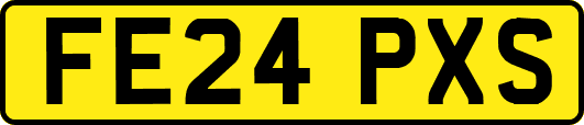 FE24PXS
