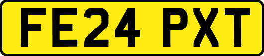 FE24PXT