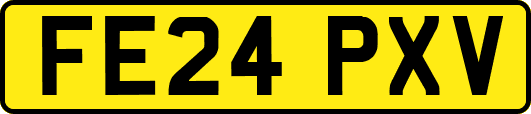 FE24PXV
