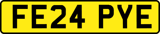 FE24PYE