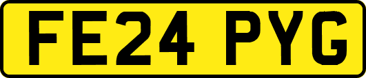FE24PYG