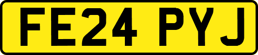 FE24PYJ