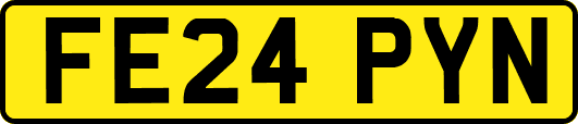 FE24PYN
