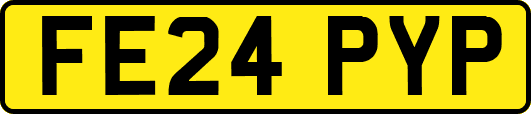 FE24PYP