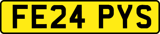 FE24PYS