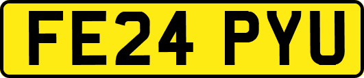 FE24PYU