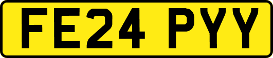 FE24PYY