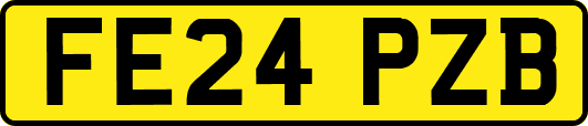 FE24PZB