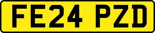 FE24PZD