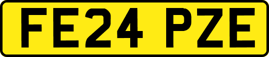 FE24PZE