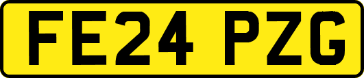 FE24PZG