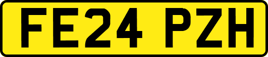 FE24PZH