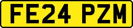 FE24PZM