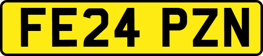 FE24PZN