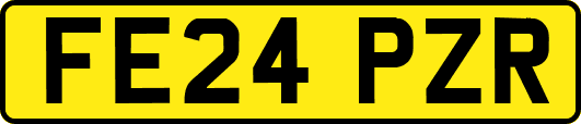 FE24PZR